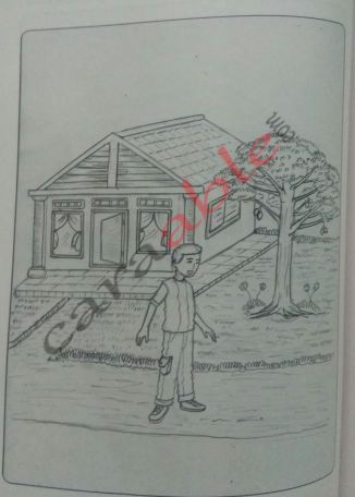 Detail Gambar Rumah Pohon Dan Orang Nomer 11