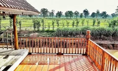 Detail Gambar Rumah Pondok Di Kebun Nomer 56