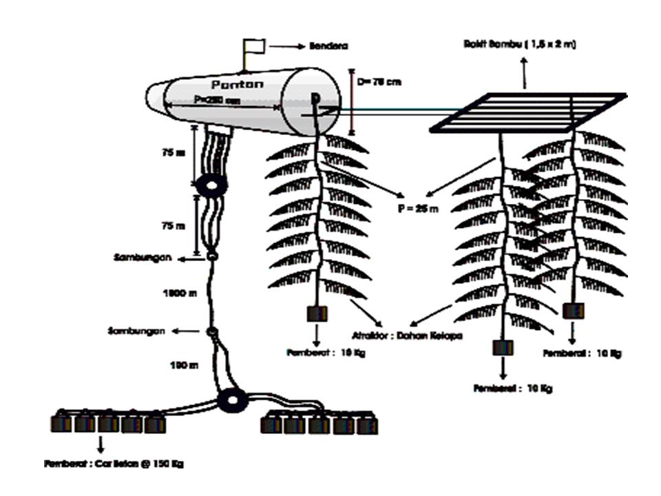 Detail Gambar Rumpon Laut Dalam Nomer 9