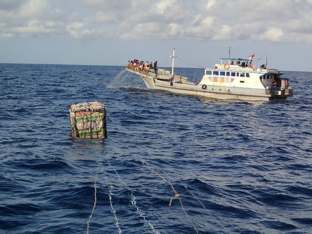 Detail Gambar Rumpon Laut Dalam Nomer 26