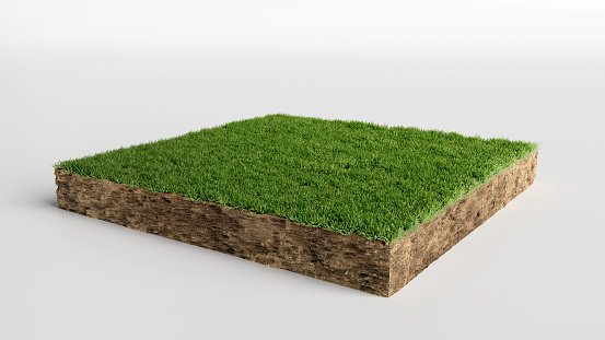 Detail Gambar Rumput 3d Nomer 4