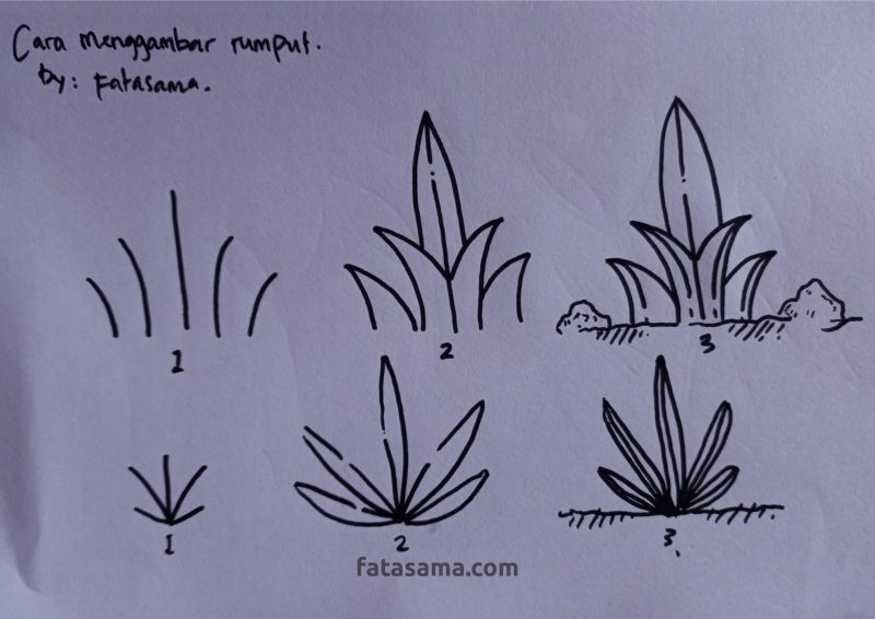 Detail Gambar Rumput Dengan Mudah Nomer 11