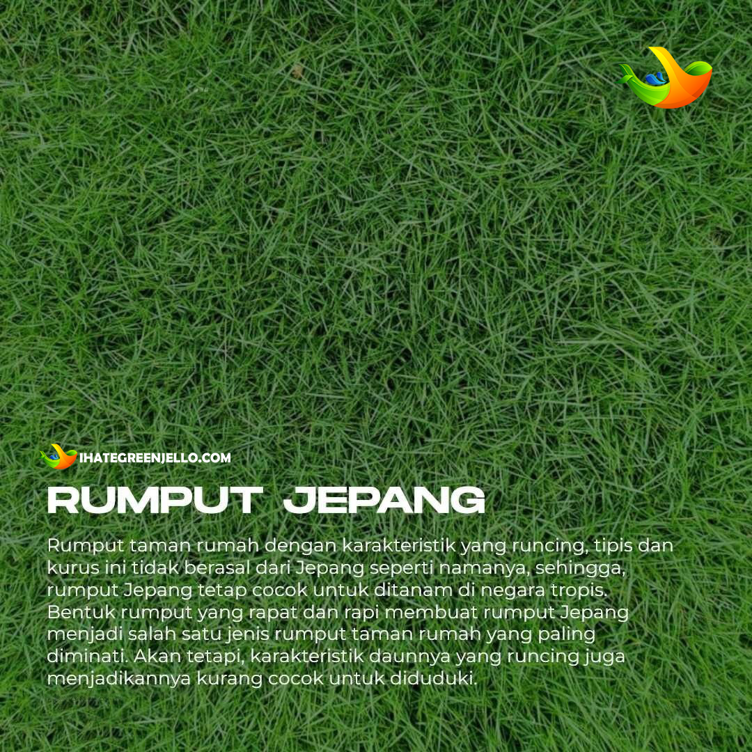 Detail Gambar Rumput Dengan Mudah Nomer 35