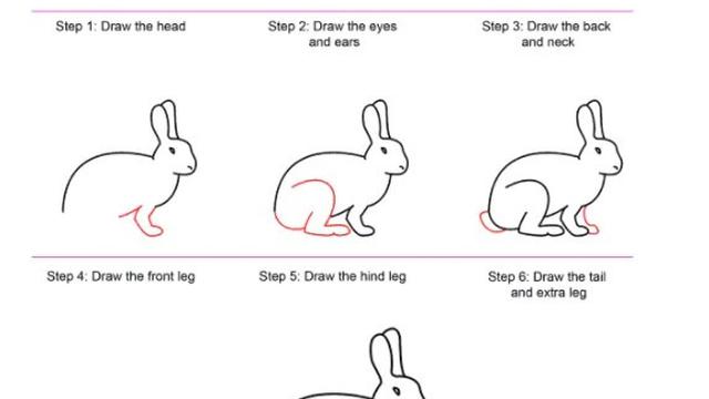 Detail Gambar Rumput Dengan Mudah Langkah Langkah Gambar Hewan Kelinci Nomer 16