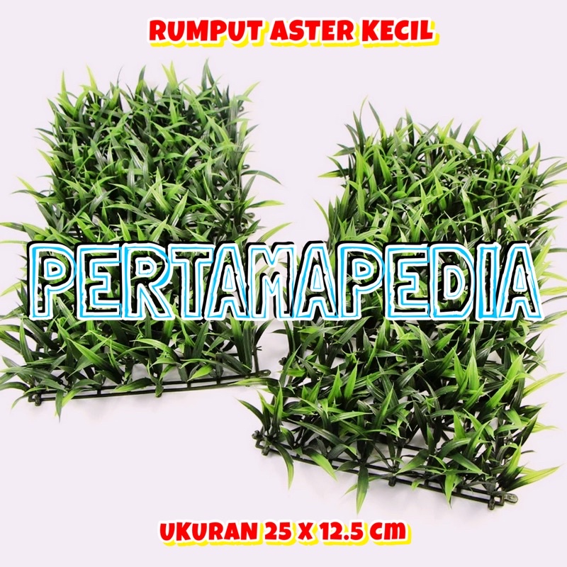 Detail Gambar Rumput Hiasan Nomer 29