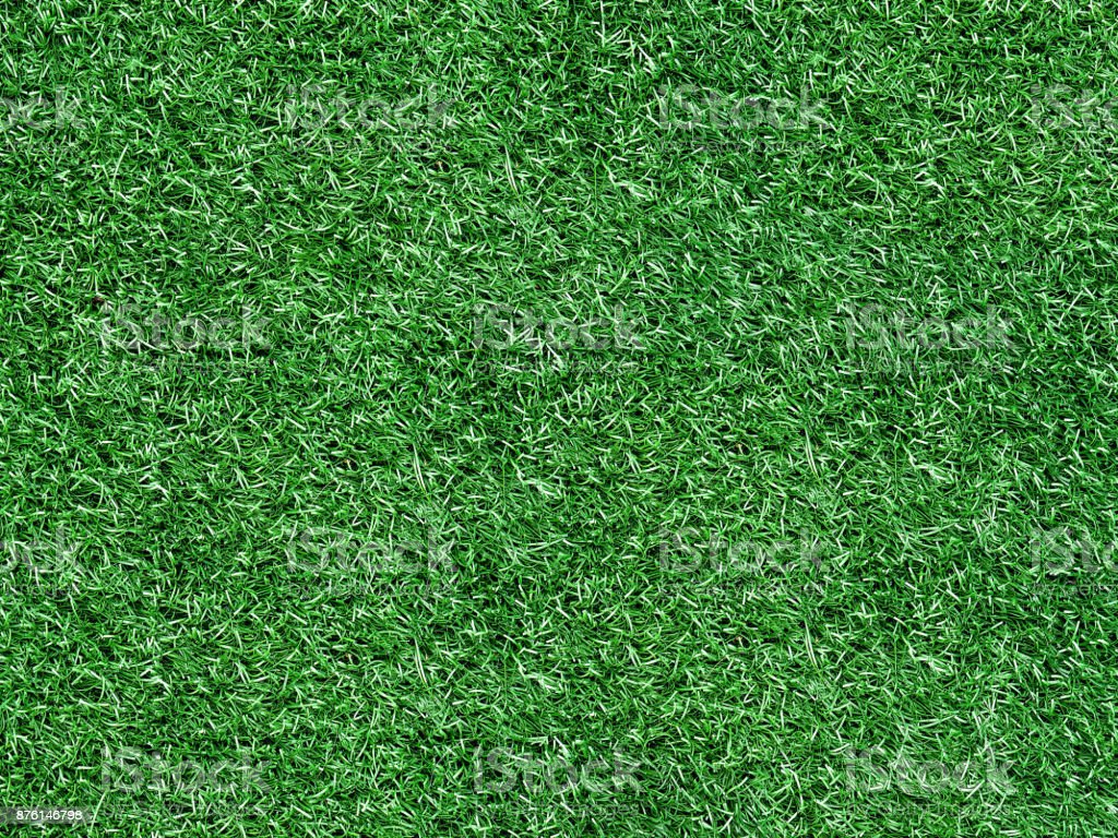 Detail Gambar Rumput Hijau Wallpaper Nomer 30