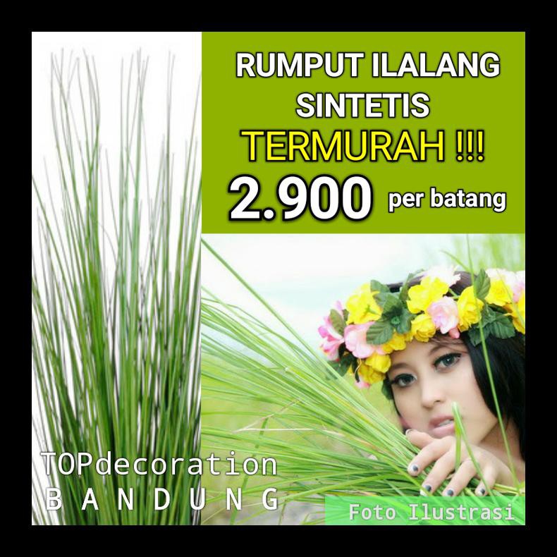 Detail Gambar Rumput Ilalang Nomer 30