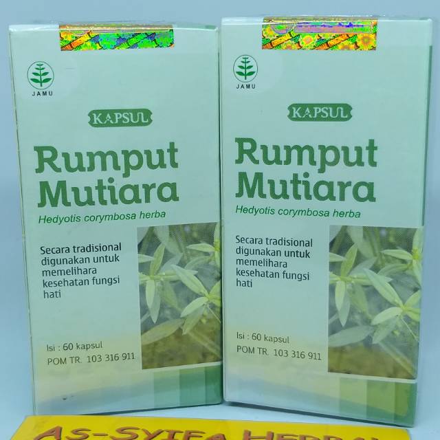 Detail Gambar Rumput Mutiara Nomer 39