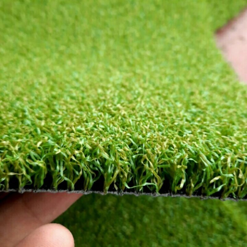 Detail Gambar Rumput Sintetis Nomer 30