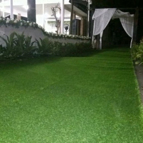 Detail Gambar Rumput Sintetis Nomer 50