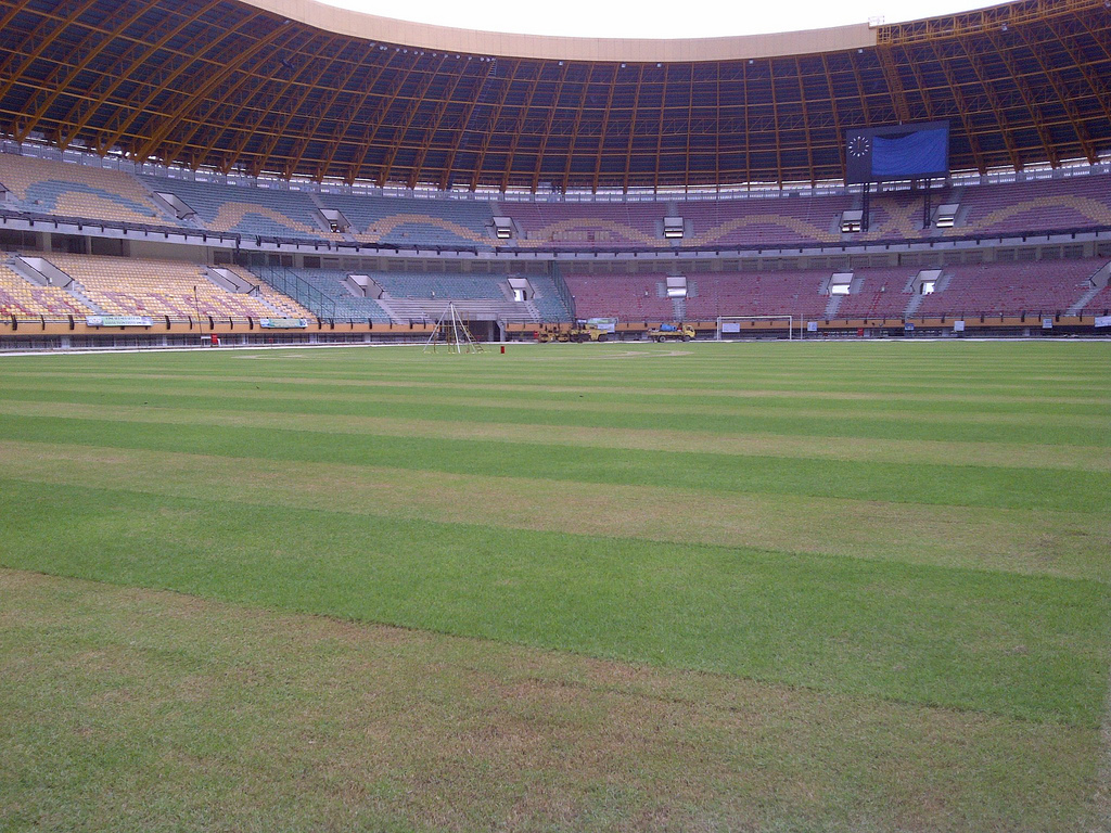 Detail Gambar Rumput Stadion Nomer 22