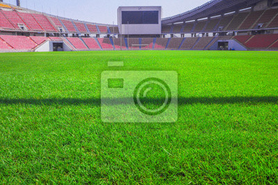 Detail Gambar Rumput Stadion Nomer 27