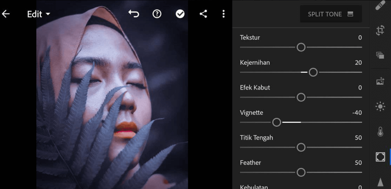 Detail Gambar Rumus Lightroom Nomer 30