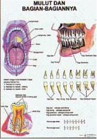 Detail Gambar Rumus Matematika Gambar Rumus Biologi Nomer 16