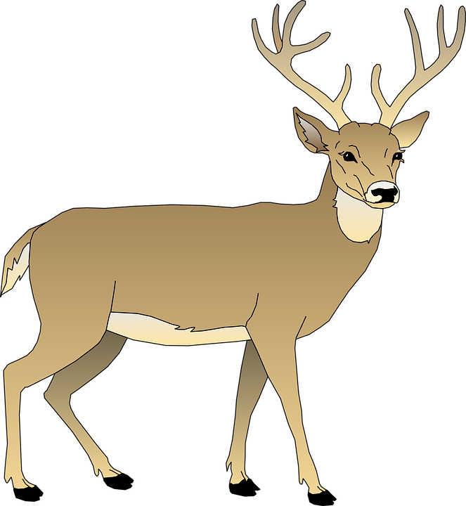 Detail Gambar Rusa Png Koleksi Nomer 20
