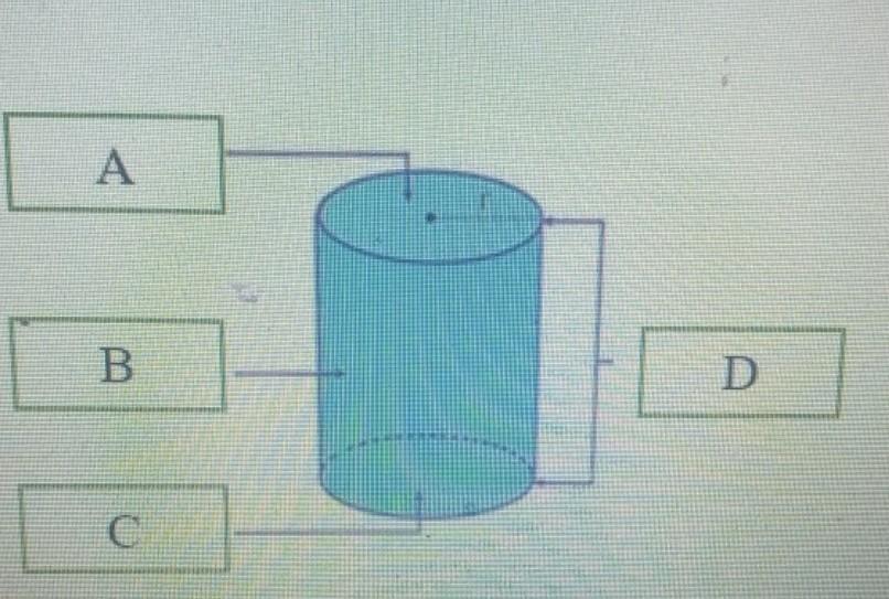 Detail Gambar Rusuk Tabung Nomer 48