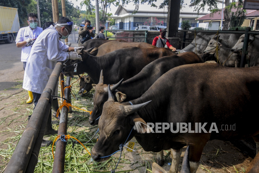 Detail Gambar Saat Kurban Nomer 26