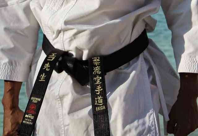 Detail Gambar Sabuk Hitam Karate Nomer 25