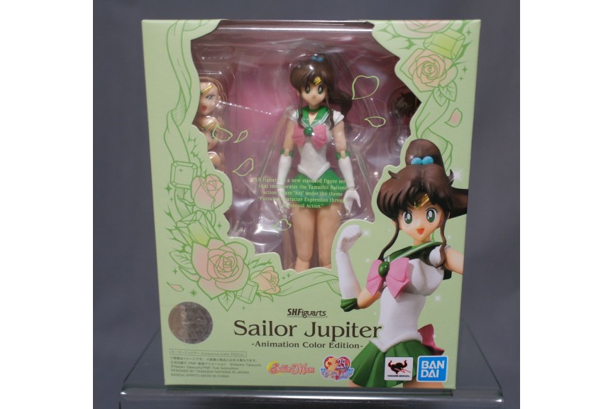 Detail Gambar Sailor Jupiter Nomer 27