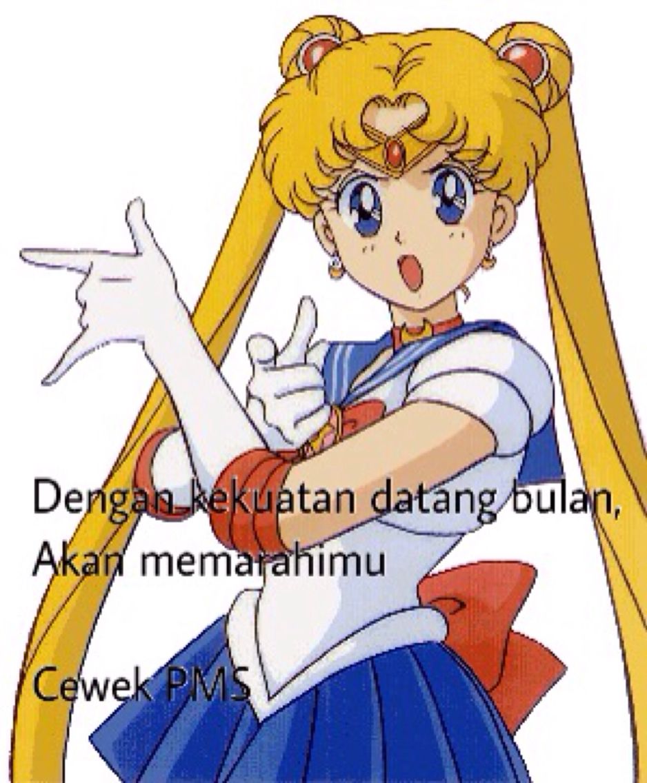 Detail Gambar Sailor Moon Lucu Nomer 6
