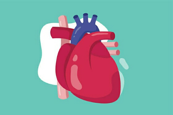 Detail Gambar Sakit Jantung Koroner Nomer 45