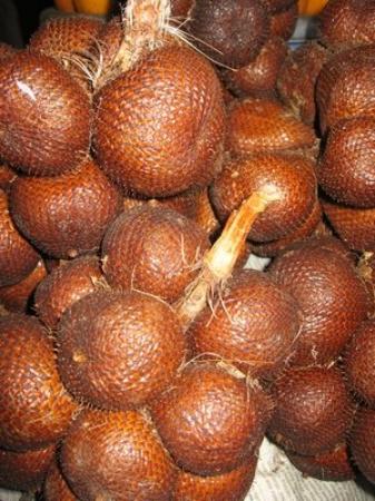 Detail Gambar Salak Buah Nomer 20