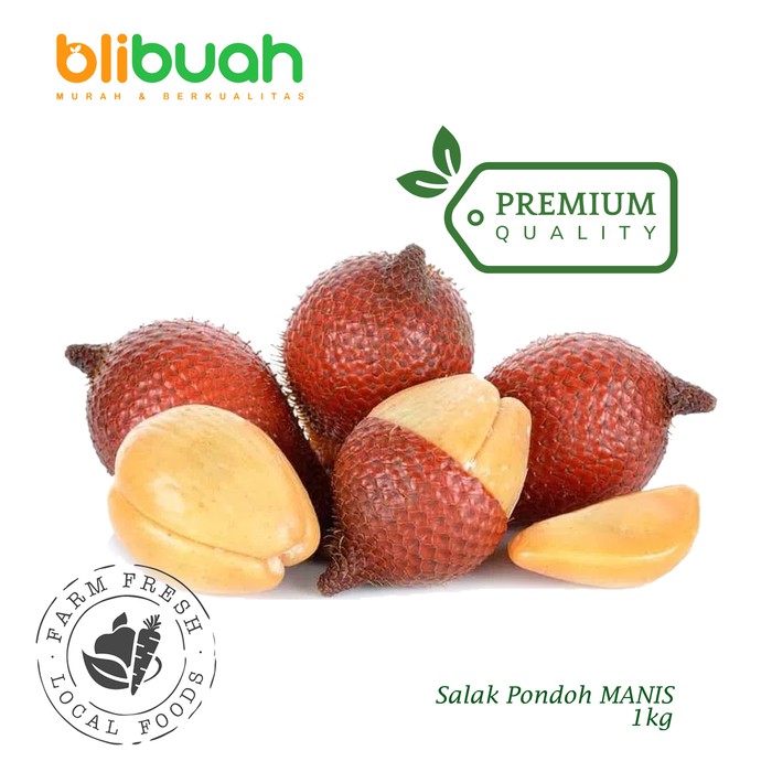 Detail Gambar Salak Buah Nomer 36