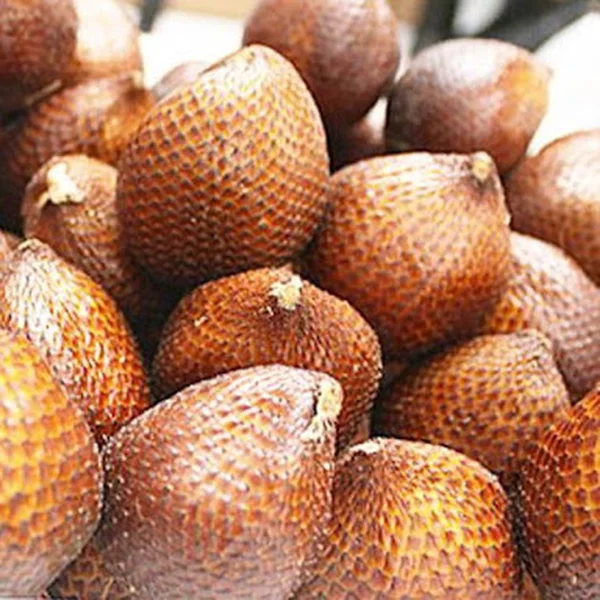 Detail Gambar Salak Buah Nomer 38