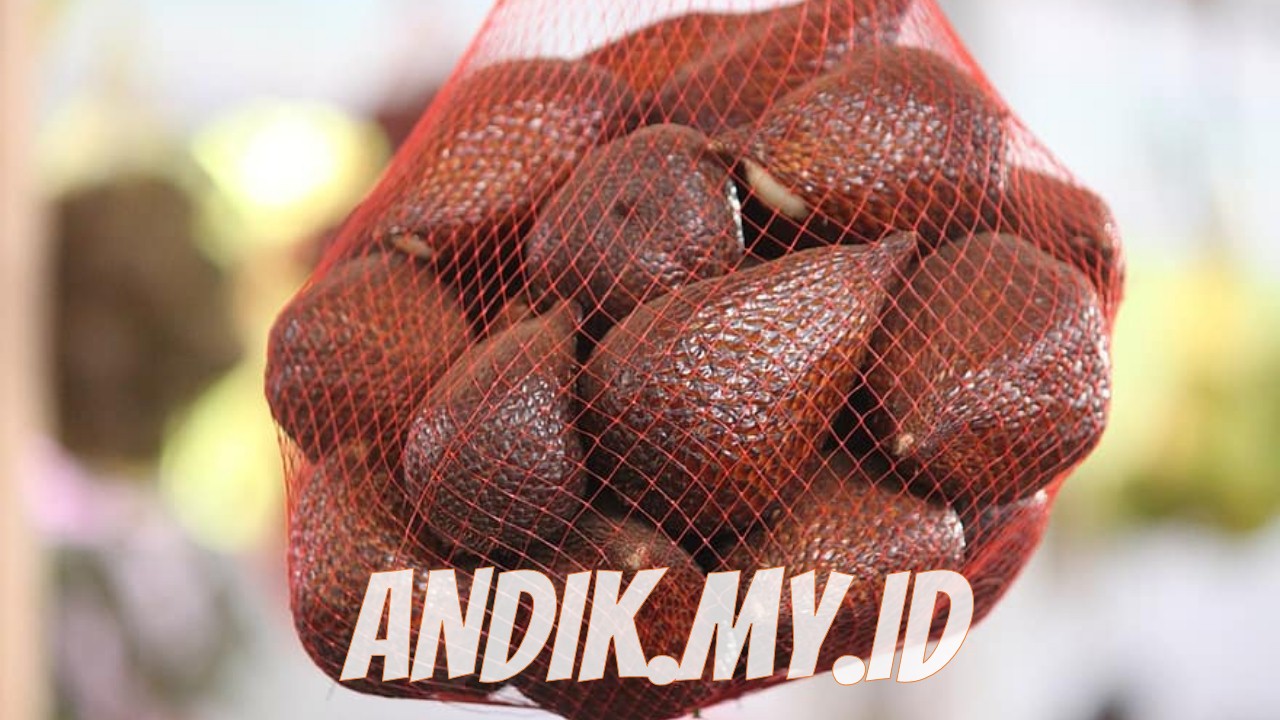 Detail Gambar Salak Buah Nomer 41