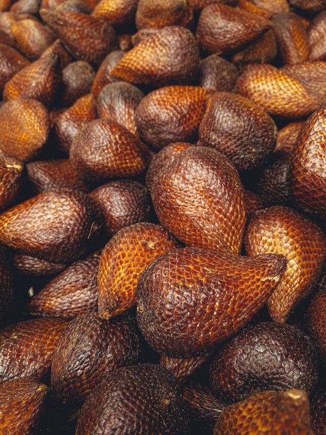 Detail Gambar Salak Buah Nomer 6