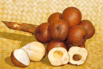 Detail Gambar Salak Buah Nomer 54