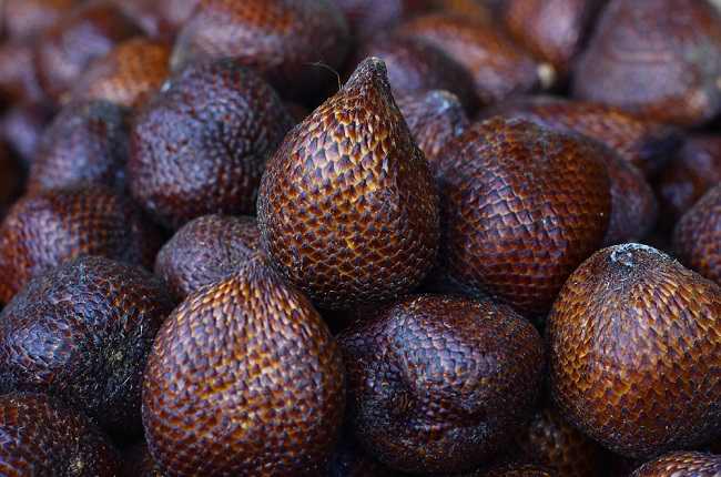 Detail Gambar Salak Buah Nomer 8