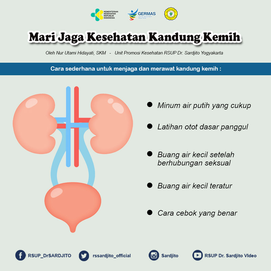 Detail Gambar Saluran Kemih Nomer 6