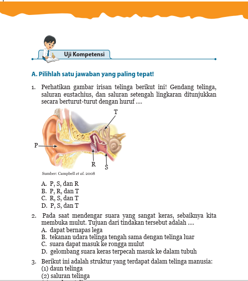 Detail Gambar Saluran Telinga Nomer 47