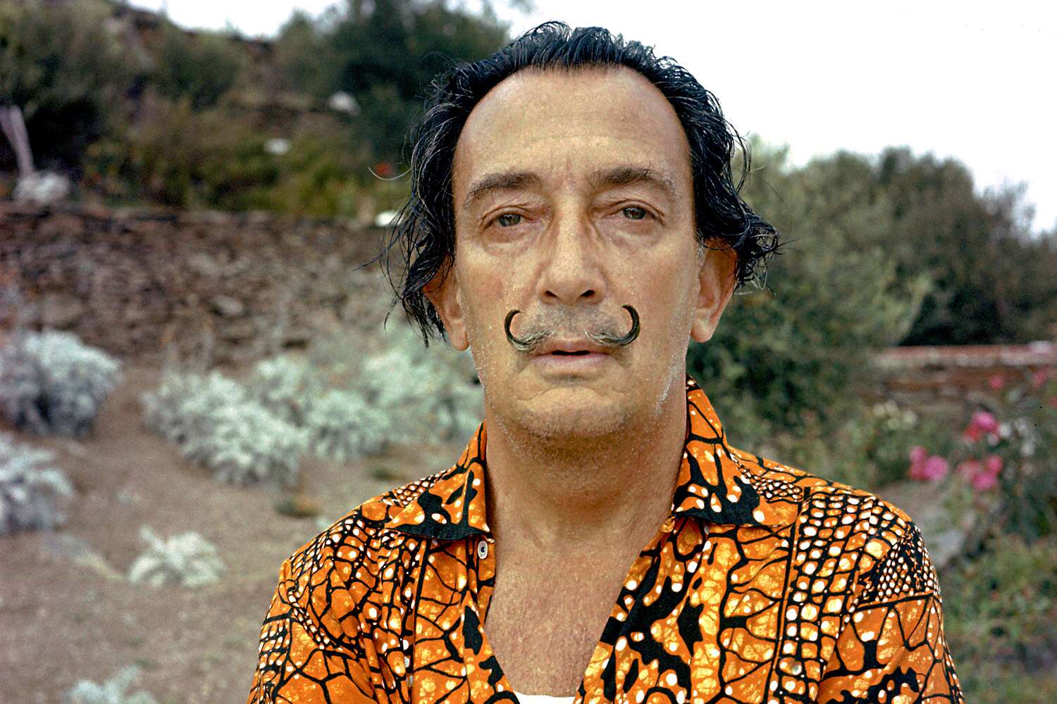 Detail Gambar Salvador Dali Nomer 40