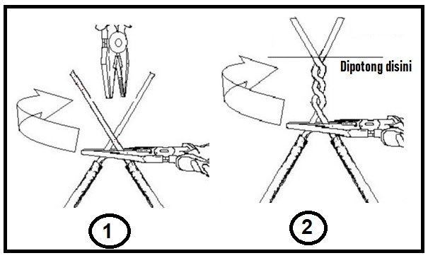 Detail Gambar Sambungan Ekor Babi Nomer 10