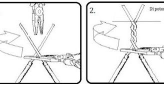 Detail Gambar Sambungan Ekor Babi Nomer 4