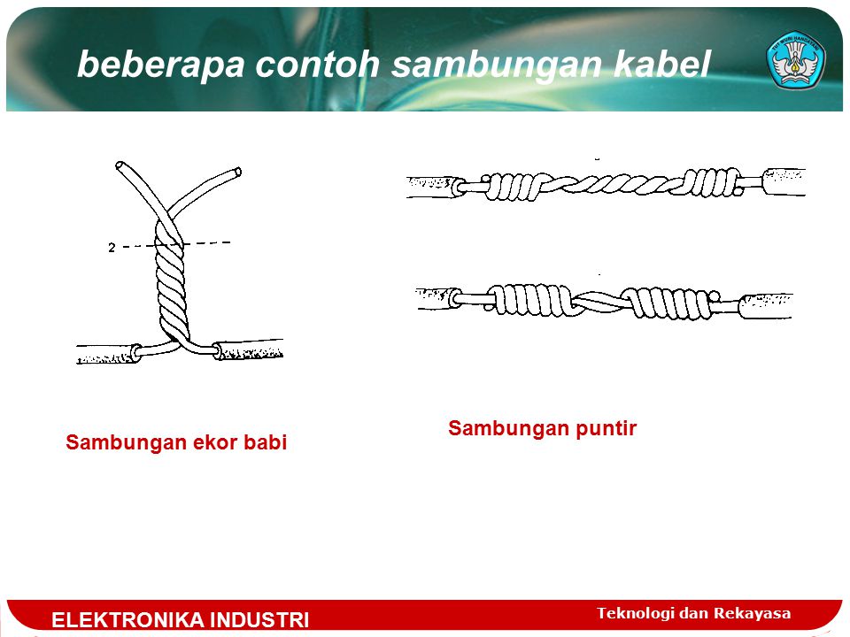 Detail Gambar Sambungan Ekor Babi Nomer 52