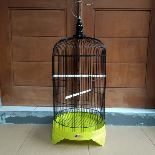 Detail Gambar Sangkar Burung Lovebird Nomer 17