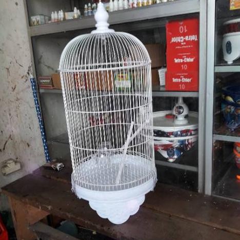 Detail Gambar Sangkar Burung Lovebird Nomer 26