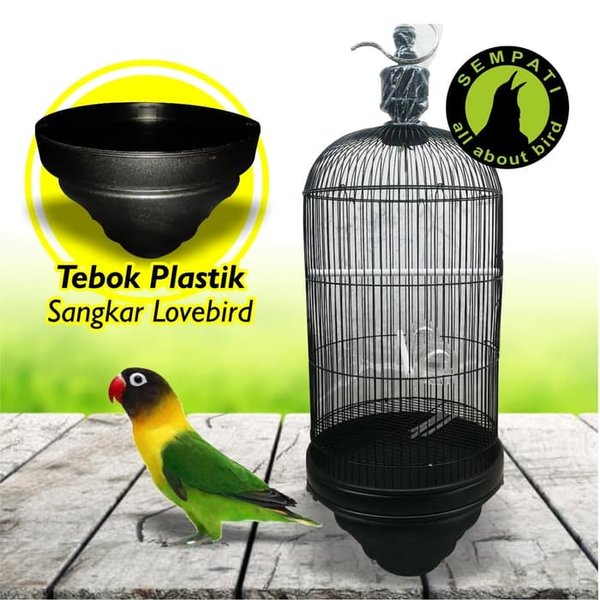 Detail Gambar Sangkar Burung Lovebird Nomer 54