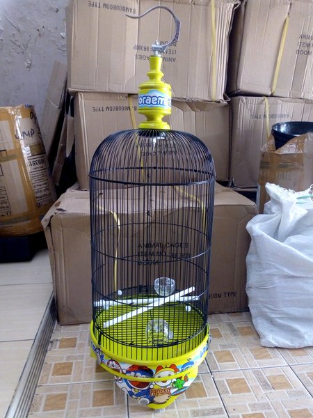 Detail Gambar Sangkar Burung Lovebird Nomer 7