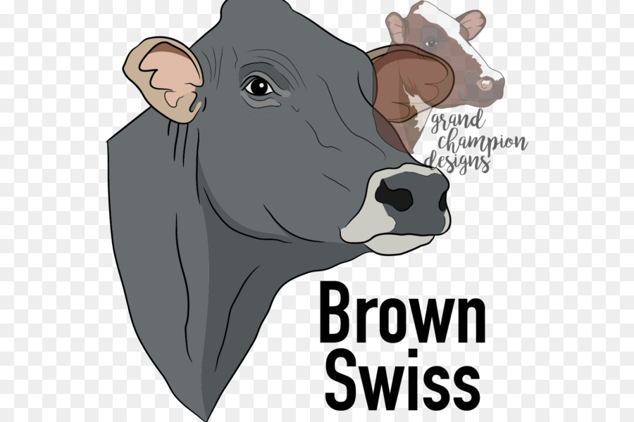 Detail Gambar Sapi Brown Swiss Nomer 43