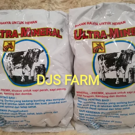 Detail Gambar Sapi Dan Domba Nomer 47