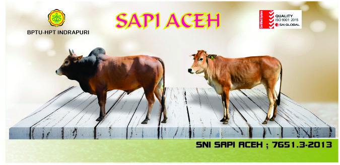 Detail Gambar Sapi Jantan Nomer 45