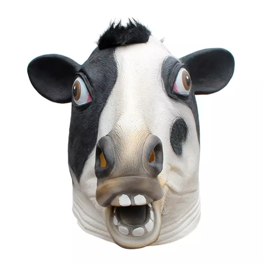 Detail Gambar Sapi Lucu Nomer 19
