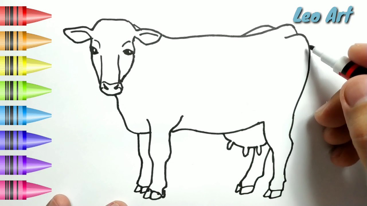 Detail Gambar Sapi Mewarnai Nomer 8