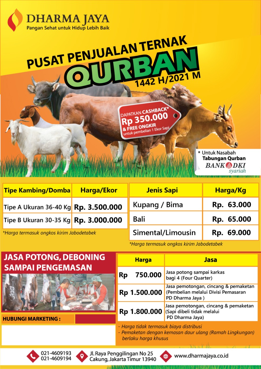 Detail Gambar Sapi Qurban Nomer 36