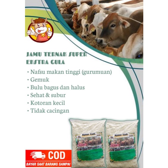 Detail Gambar Sapi Sehat Nomer 31