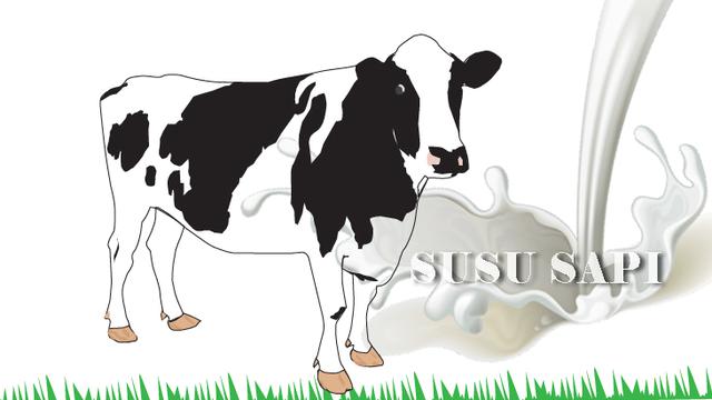 Detail Gambar Sapi Susu Nomer 21